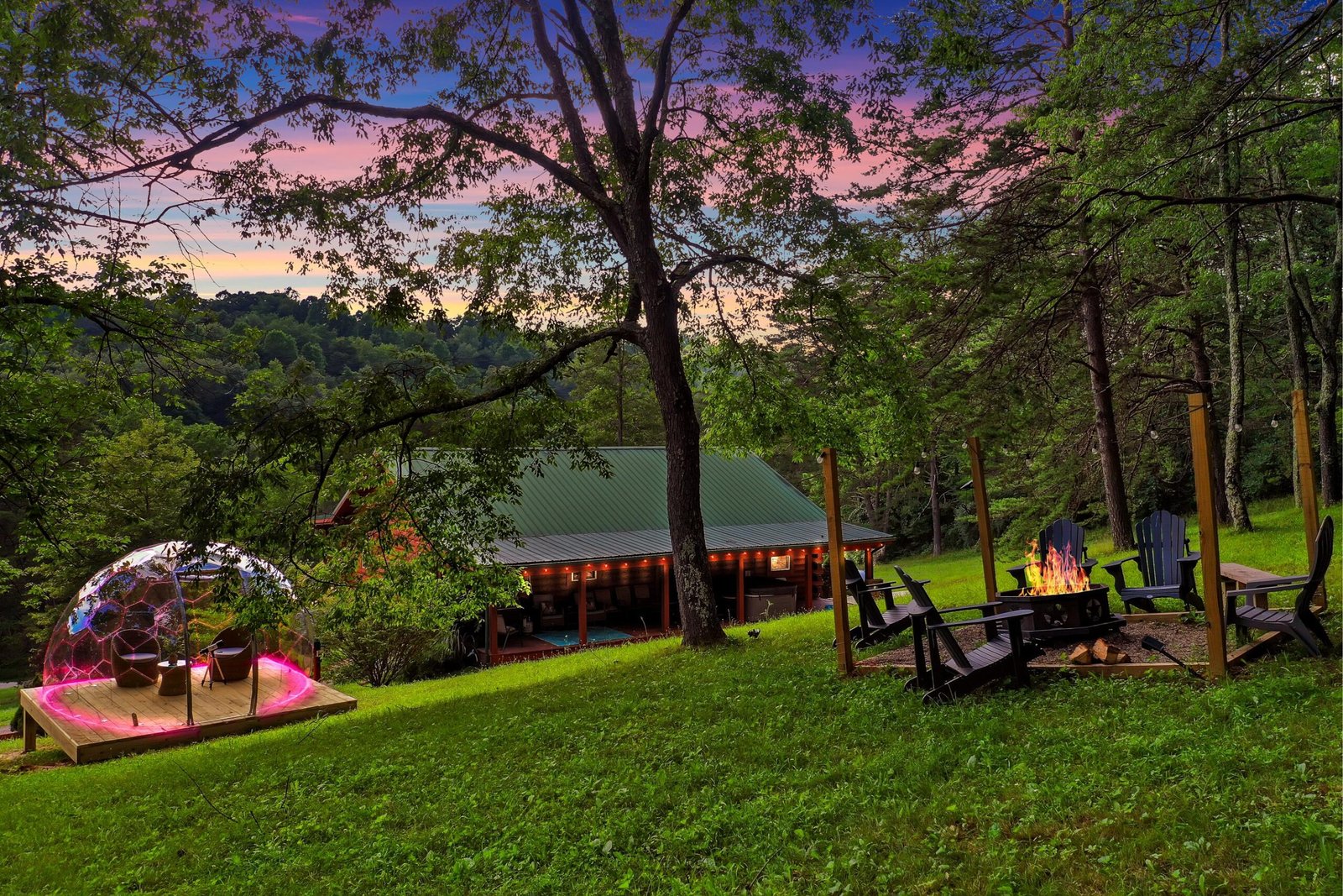 Read more about the article Redwood Retreat